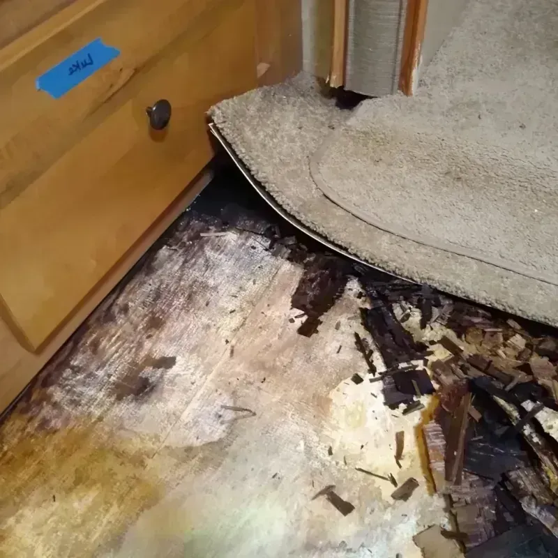 Wood Floor Water Damage in Sleepy Hollow, WY